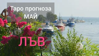 ЛЪВ МАЙ 2024 / Таро прогноза онлайн