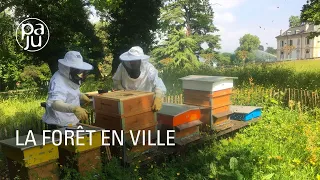 Les coulisses du plus grand parc public de Genève