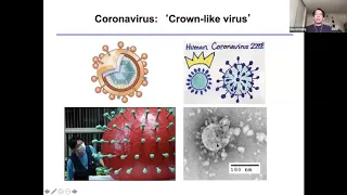 Emerging infectious diseases and COVID-19 transmission - August 18, 2020 (session 2)
