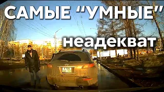 Подборка САМЫХ "УМНЫХ" водителей #366