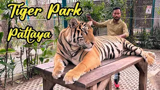 Exploring Thailand's Tiger Park In Pattaya!  | Vlogs
