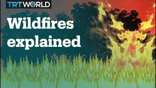 How do wildfires spread?
