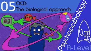 OCD: explaining and treating (Biological approach) - Psychopathology [A-Level Psychology]