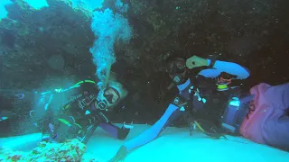 Maldives diving 4k