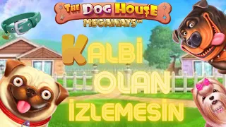 DOG HOUSE | 😱 KIVRANDIRDI AMA ÜZMEDİ 💰 | #slot #casino #slotoyunları