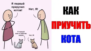 Лютые приколы. Как ПРИУЧИТЬ КОТА?. угарные мемы