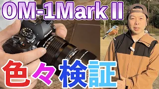 【カメラ】OM-1 MarkⅡの気になるところをチェックしてみた！鳥AFの枝ピントなど！