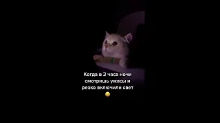 Напугали котенка 🤣 Застали кота за просмотром...🤣🤣🤣 Ржака 🤣🤣лучшие приколы до слез | тик ток лучшее