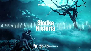 evelina ross - Słodka historia (Fleyhm x Ziemuś Bootleg 2021)