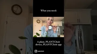 How to make music from your plants