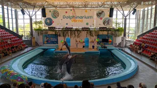 Dolphinarium Varna 2023