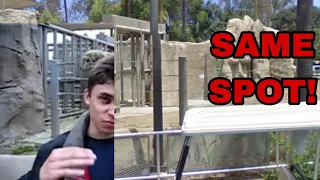 I found the EXACT SPOT Me at the zoo was filmed at!