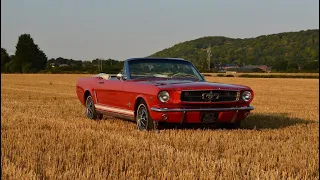 1965 Mustang Convertible Walkaround