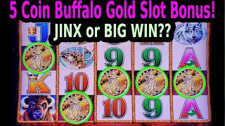 💰 5 COIN BUFFALO SLOT MACHINE BONUS - $3 BET + 58 SPINS - JINX or BIG WIN???