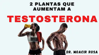 Essas 2 Plantas Aumentam Sua Testosterona || Dr. Moacir Rosa