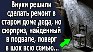 Внуки решили сделать ремонт в старом доме деда, но сюрприз, найденный в подвале, шокировал…