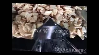 XFG K fruit chips filling packing machine, premade bag filling machine with weighing system