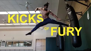 KICKS OF FURY