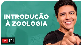 ZOOLOGIA - CONCEITOS BÁSICOS - Reino Animalia - Prof. Kennedy Ramos