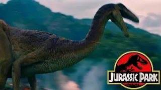 The History of the Gallimimus in the Jurassic Park Franchise
