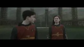 quidditch tryouts with harry and ginny