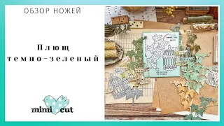 Плющ тёмно - зелёный — обзор ножей MimiCut