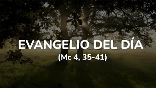 SANTO EVANGELIO DE HOY | Sábado 29 de enero de 2022