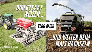 Vlog #166 Direktsaat Weizen und weiter in unserem Mais – wie ist der Ertrag?