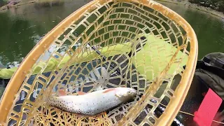 Spring Time Boulder Mountain Hiking and Fishing for Cutthroat Trout