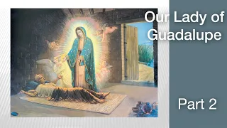 Introduction to Our Lady of Guadalupe:  Part Two