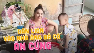 Dẫn Lion vào nhà Ông Bà Cố ăn cúng, cảnh quê hương đẹp quá các Cô Chú ơi