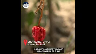 Drought continues to impact large swathes of China