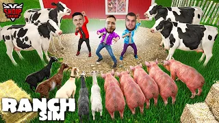 Kena shit shumë Lopë, Derra edhe Dhia !! - Ranch Simulator | SHQIPGaming