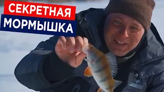 Ловля окуня зимой на мормышку - тактика, техника и снасти