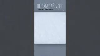 Олександр Закшевський - Не забувай мене