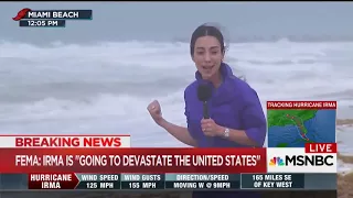 ‘Oh, come on!’: Anchor freak out over windsurfer in Hurricane Irma waves during live remote