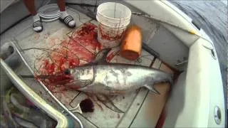 Swordfishing with the Hooker Electric Reel