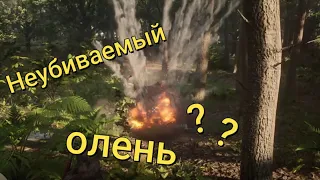 Баги и приколы - Red Ded Online