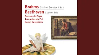 Piano Trio No. 4 in B-Flat Major, Op. 11 "Gassenhauer": I. Allegro con brio