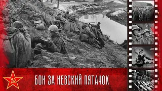 Невский пятачок (19 сентября 1941г. - 29 апреля 1942г. и  26 сентября 1942г. - 17 февраля 1943г.).