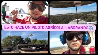 ESTO HACE UN PILOTO AGRÍCOLA||LABORANDO✈️||POLO ELIZALDE