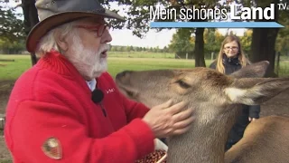 Spätherbst - die schönsten Höfe Norddeutschlands (NDR)