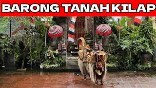 Tari Barong dan Keris sebagai Atraksi Wisata Bali | Bali Traditional Performance