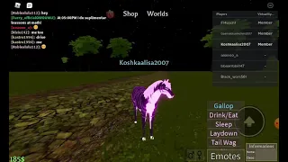 Показываю новейшего геймпас тигра пони в horse world (roblox)!!!