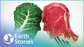 Is Eating Meat Killing Our Planet? | Earth Stories