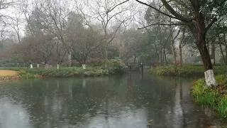 The beautiful little lake is raining(45) , sleep, relax, meditate, study, work, ASMR