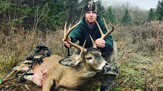 DROPTINE Buck Down At 6 Yards! Upstate NY Bow Hunting