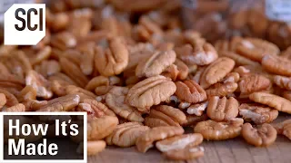How Pecans Are Manufactured | How It’s Made