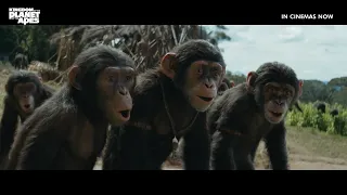 Kingdom Of The Planet Of The Apes | Together