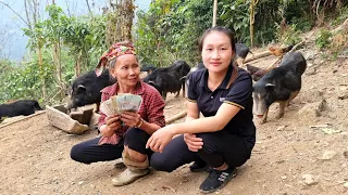 Preserving & preparing green vegetables - Buy pigs from local people, my daily life | Ly Thi Tam